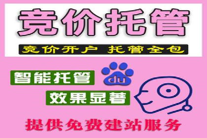 SEM推广策略：成功案例解析